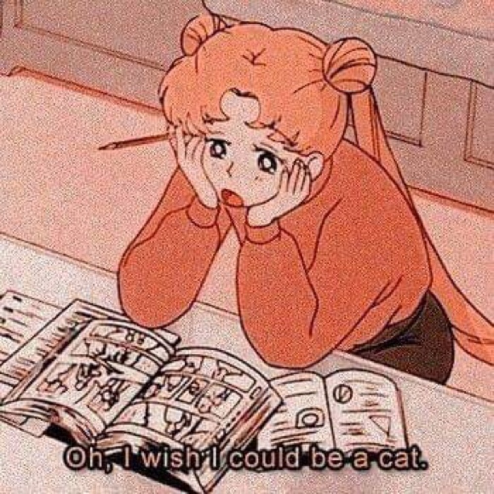 Meet your Posher, Natasha